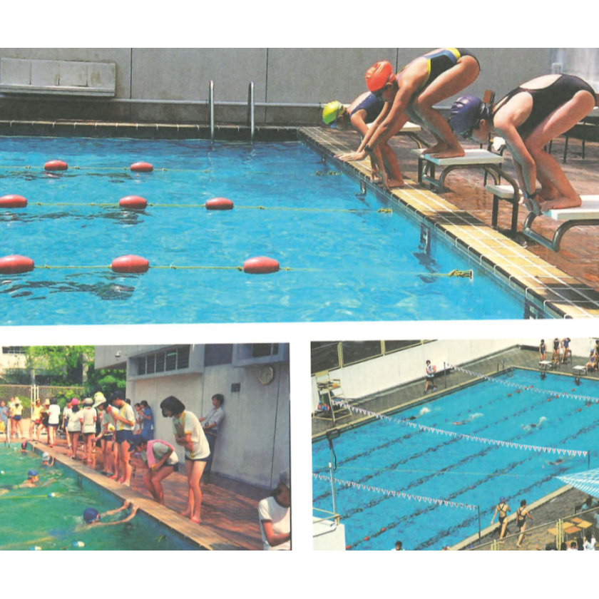Swimming_Gala