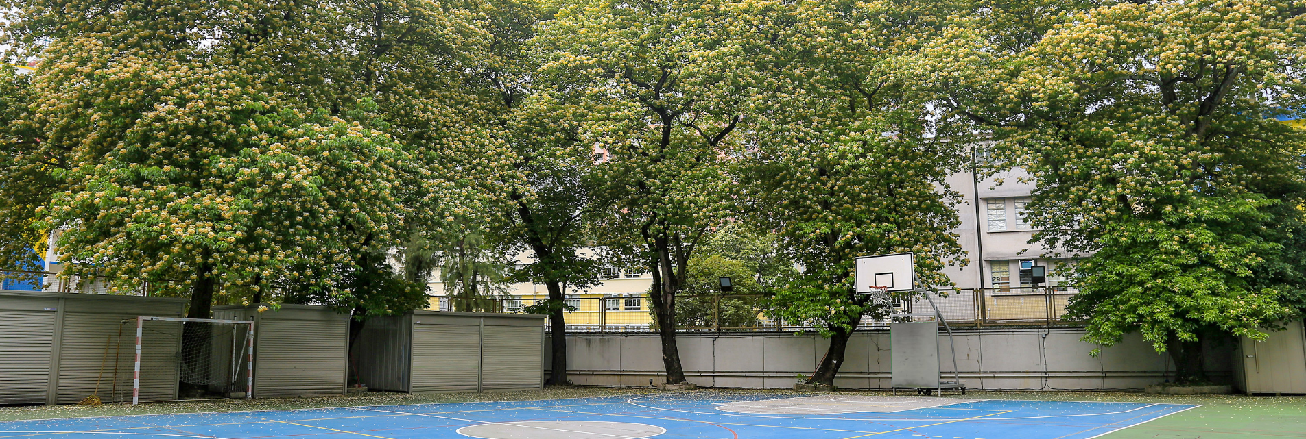 inner-banner-dummy-8
